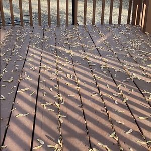 Meet your Posher, Maria del carmen